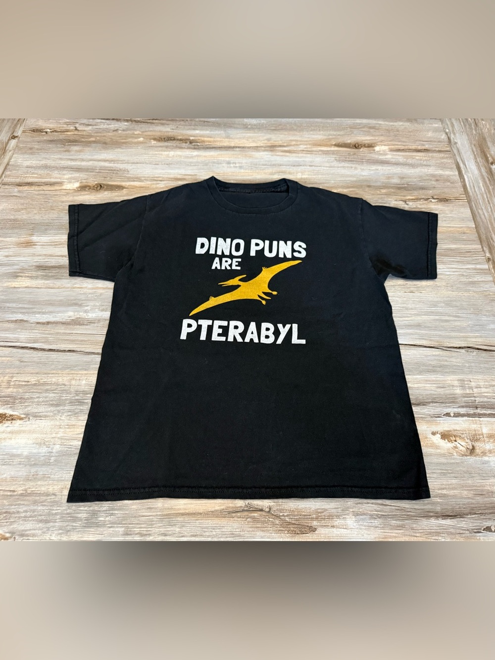 Dino Puns Are Pterabyl Pterodactyl T-Shirt Medium Youth Black Faded